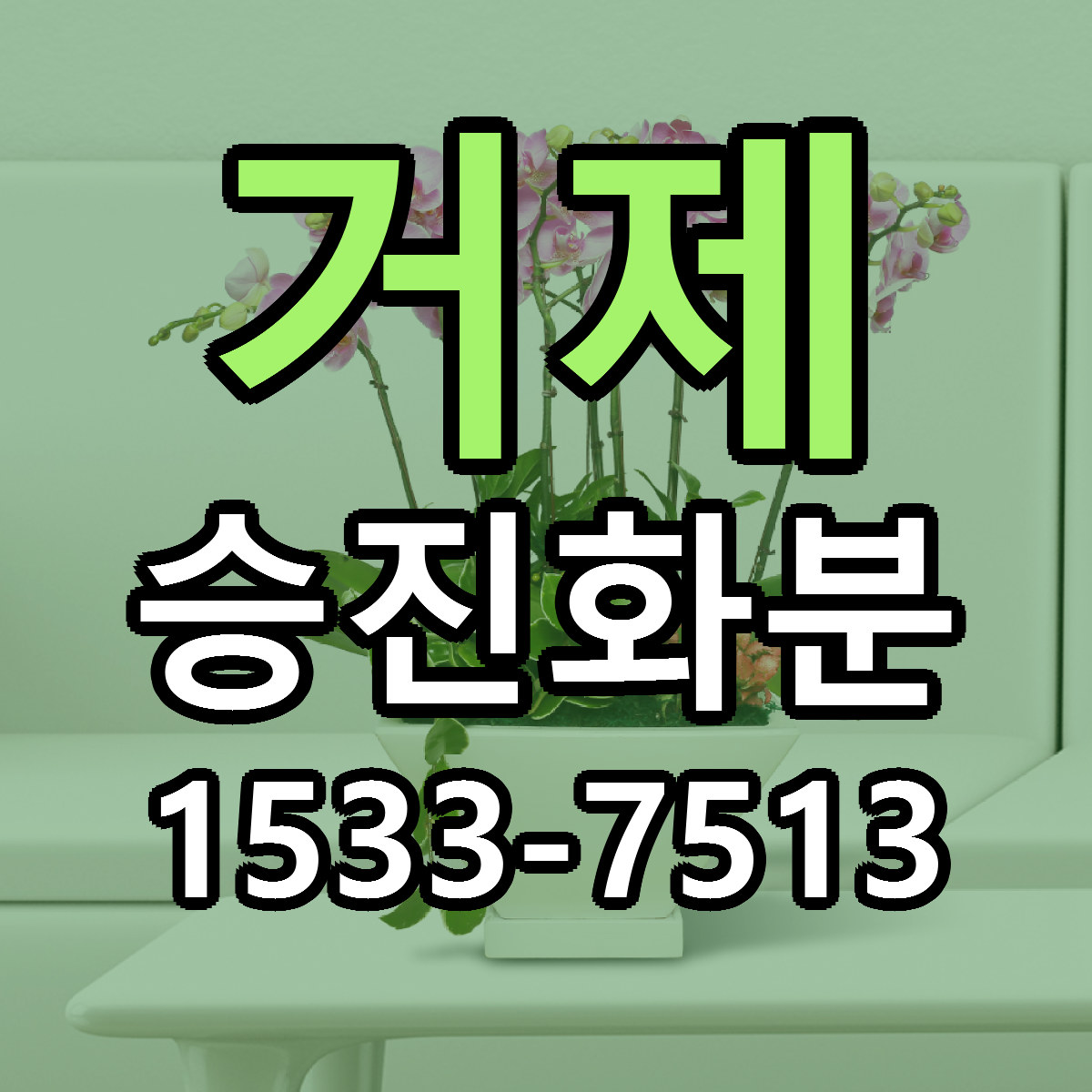 거제 승진화분 가격 만족 저렴한곳 리본문구 작성
