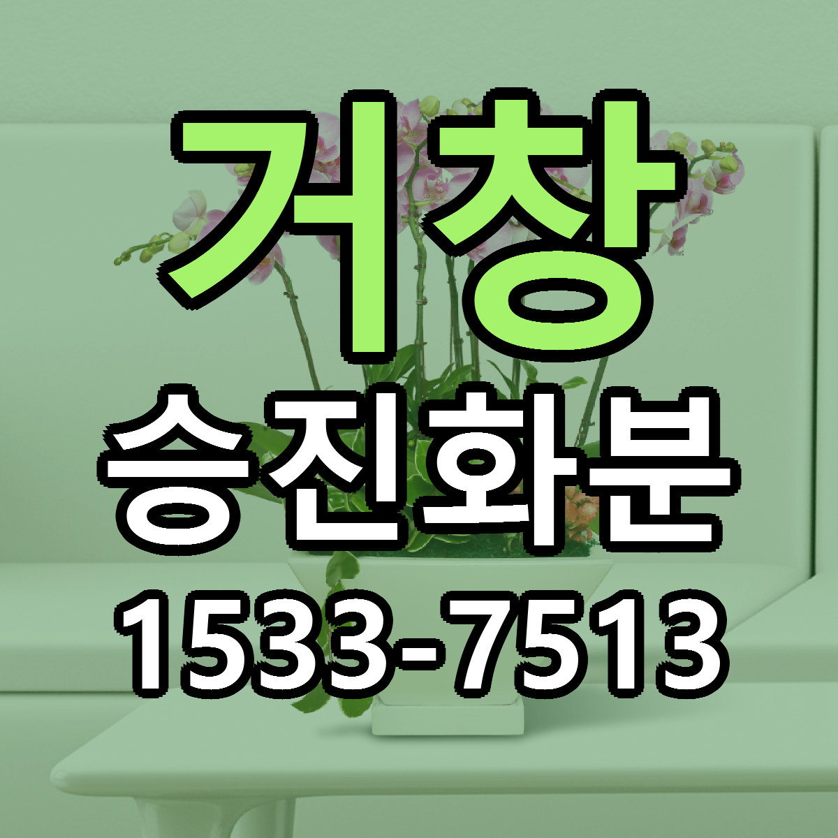 거창 승진화분 당일배송 리본문구 싼곳 찾기