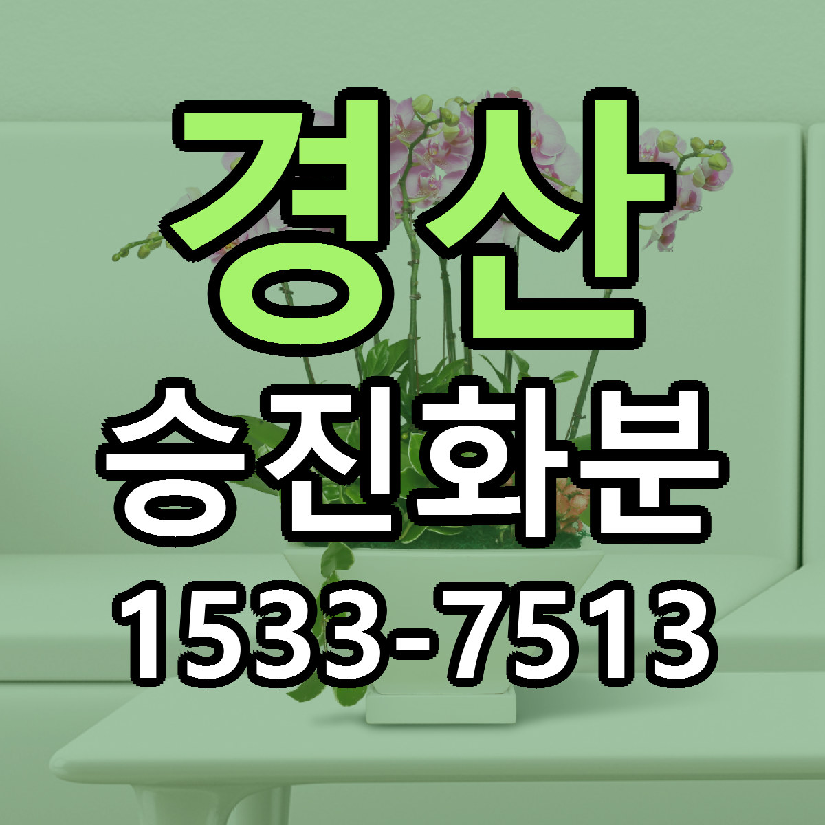 경산 승진화분 당일배송 리본문구 싼곳 찾기