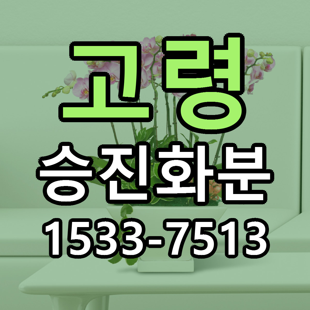 고령 승진화분 당일배송 싼곳 리본문구 안내