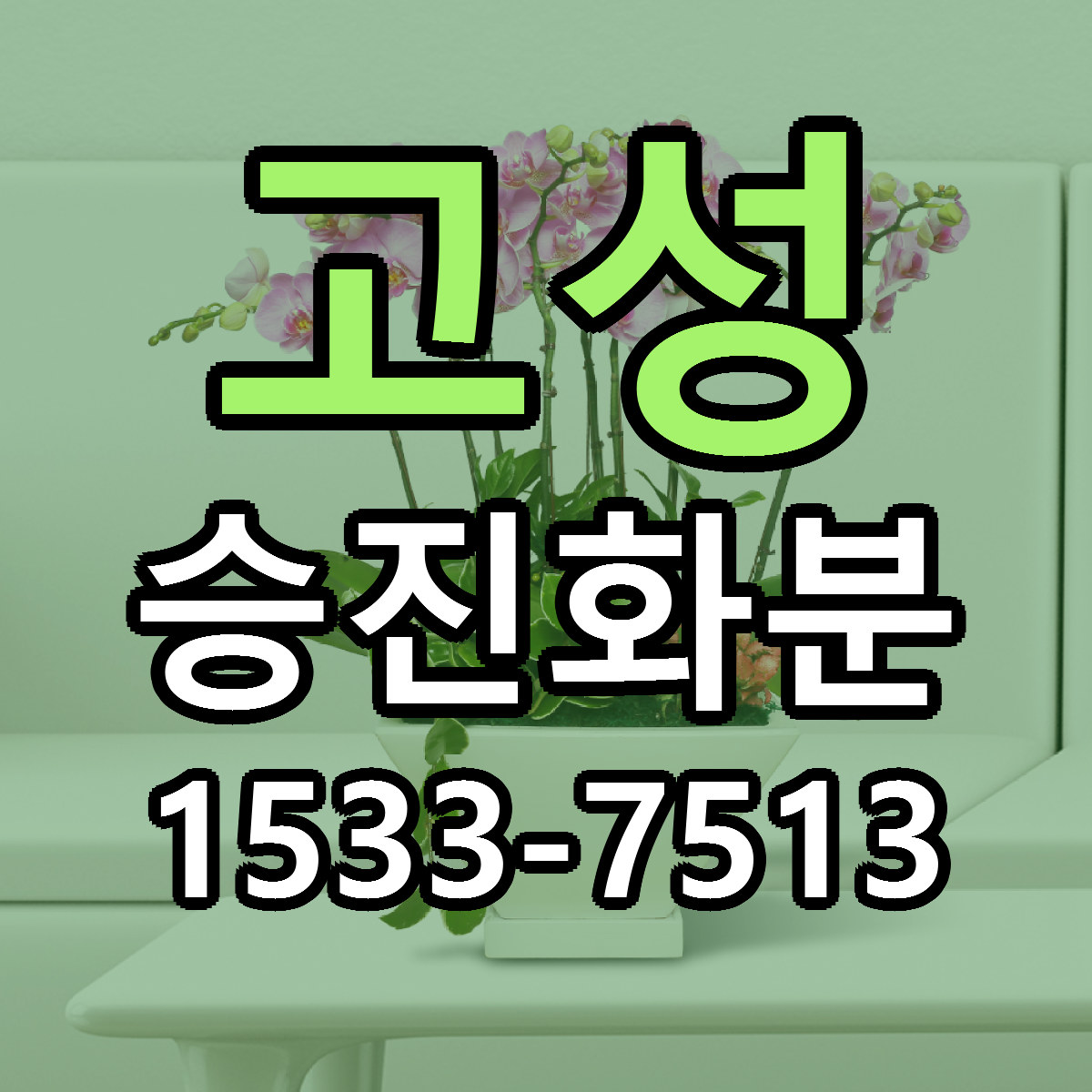 고성 승진화분 근처꽃집 당일배송 가격 안내