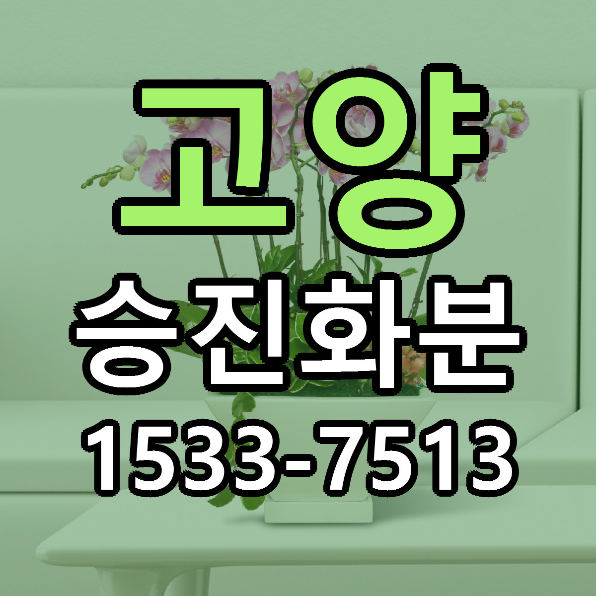 고양 승진화분 싼곳 당일배송 리본문구 작성