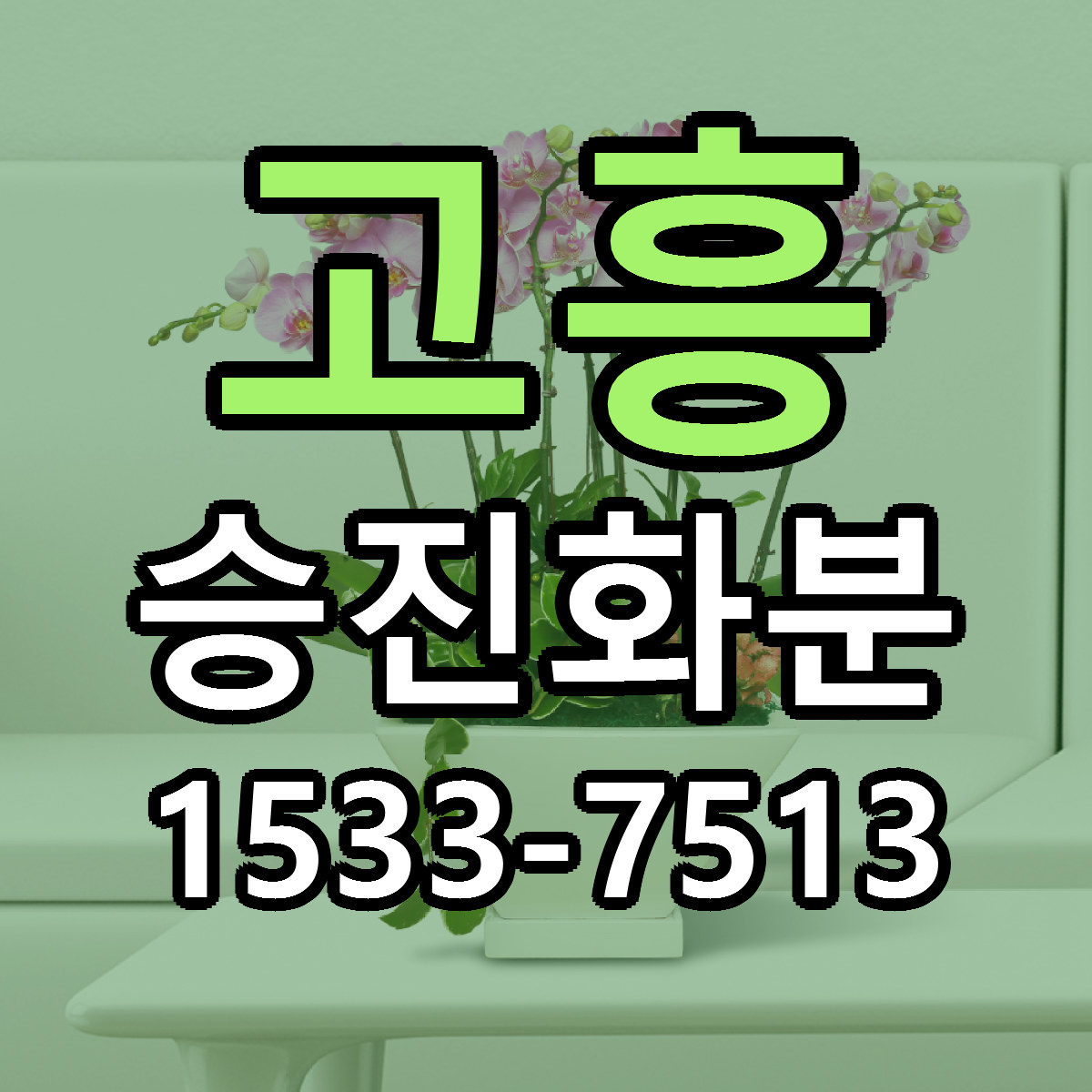 고흥 승진화분 당일배송 저렴한곳 리본문구 추천