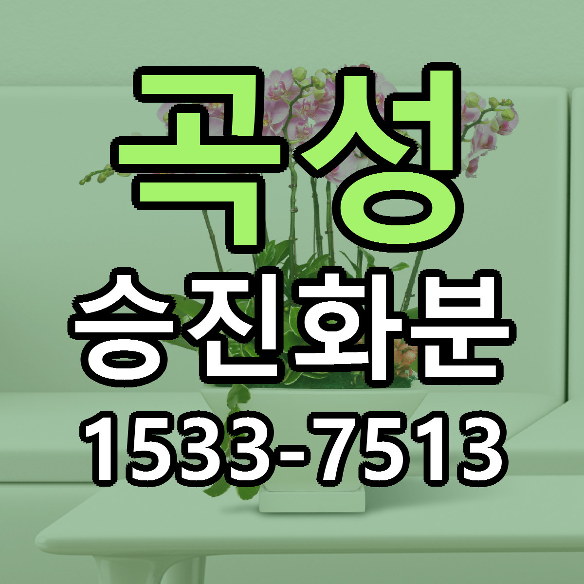 곡성 승진화분 리본문구 싼곳 빠른배송 예약