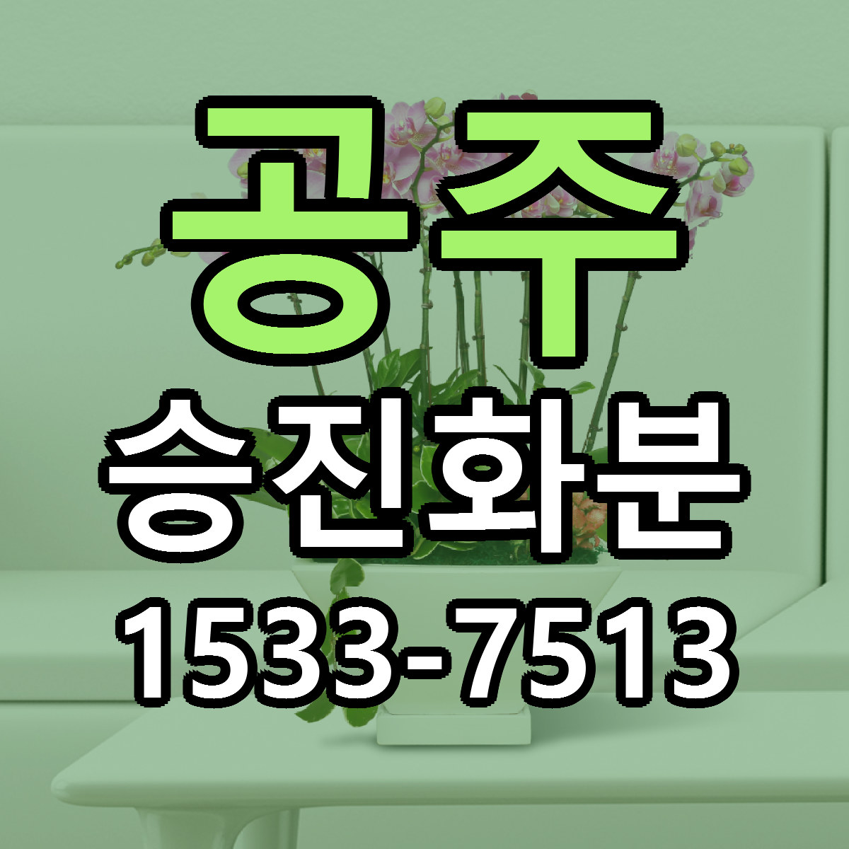 공주 승진화분 저렴한곳 당일배송 가격 만족
