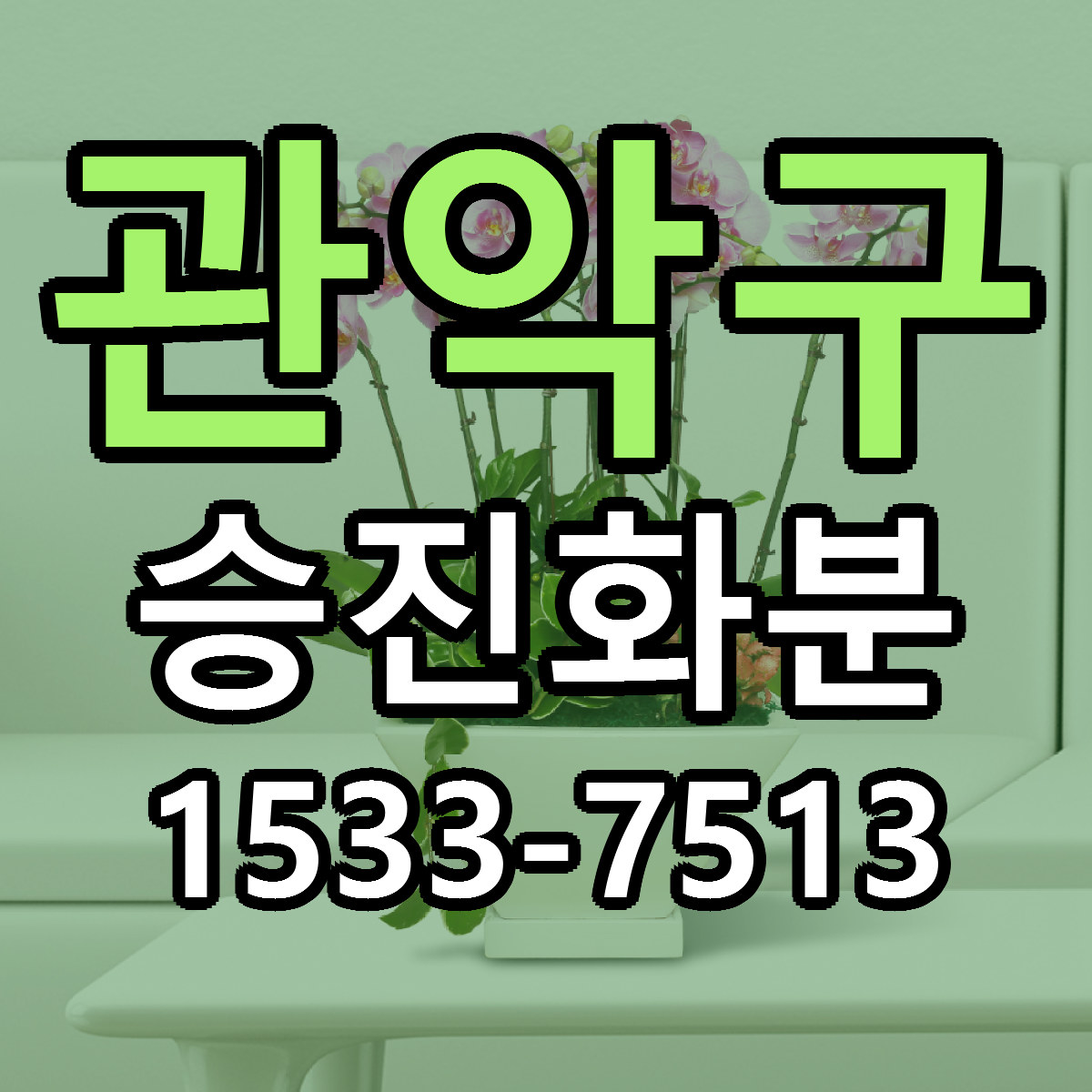관악구 승진화분 싼곳 당일배송 리본문구 작성