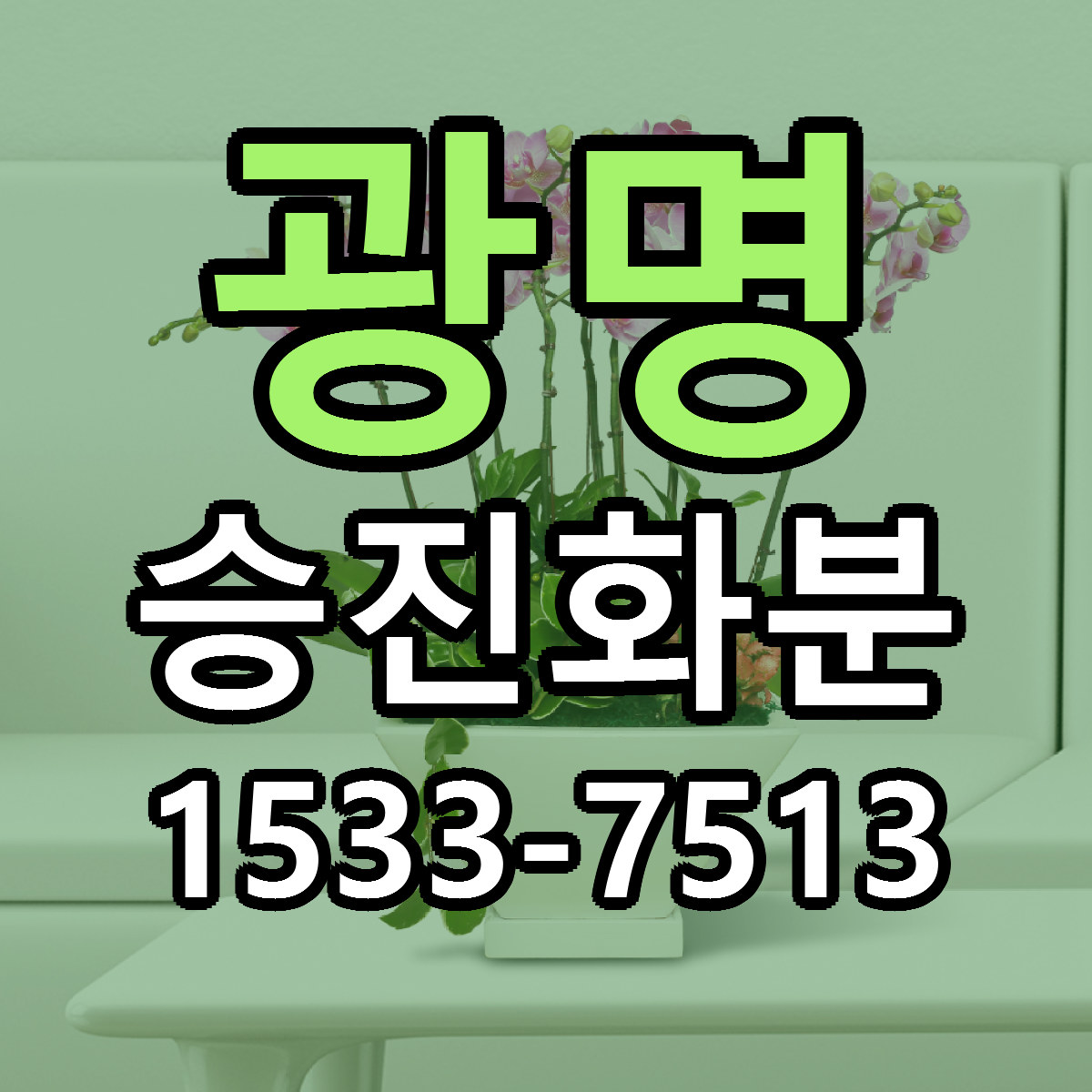 광명 승진화분 근처꽃집 싼곳 빠른배송 안내