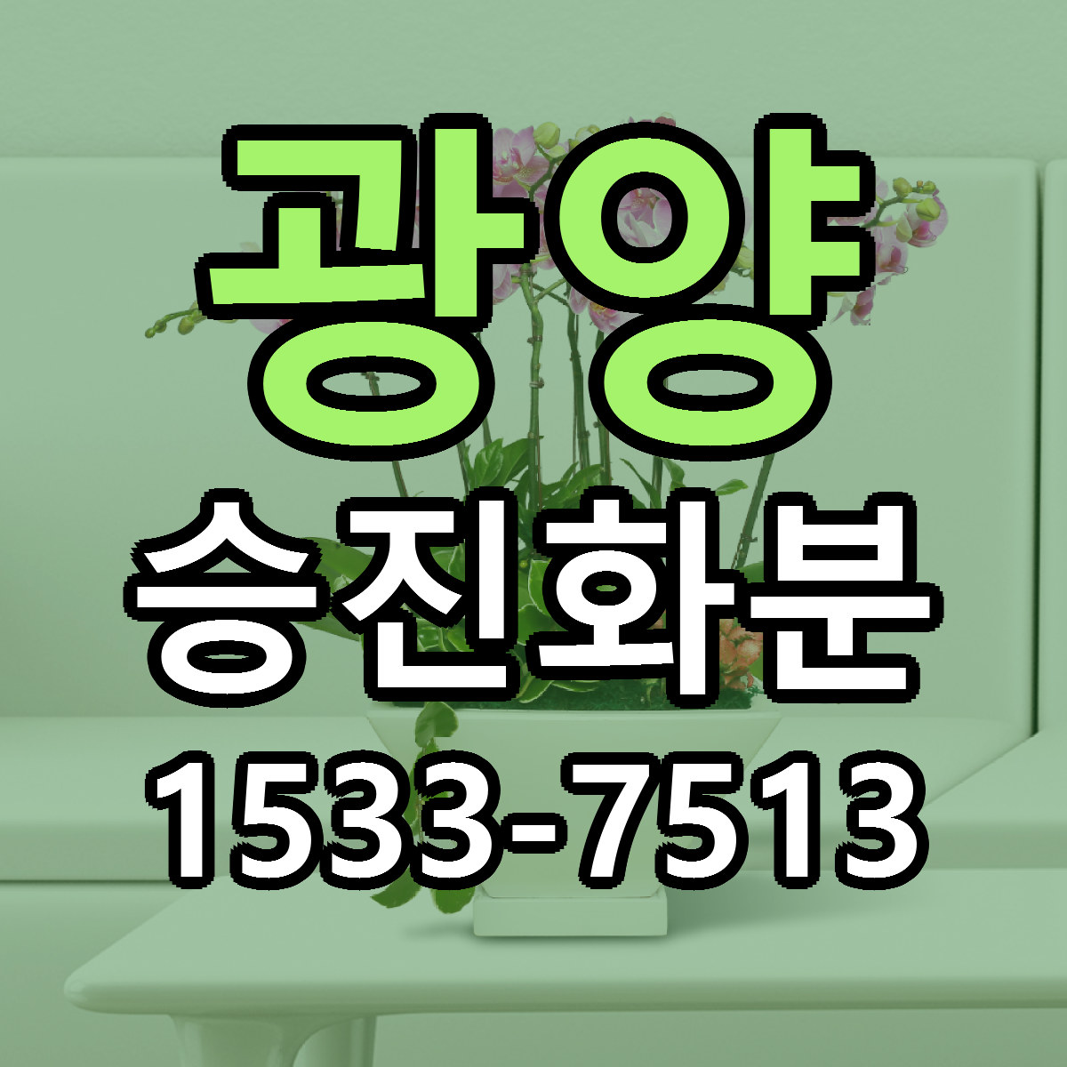광양 승진화분 빠른배송 근처꽃집 가격 비교