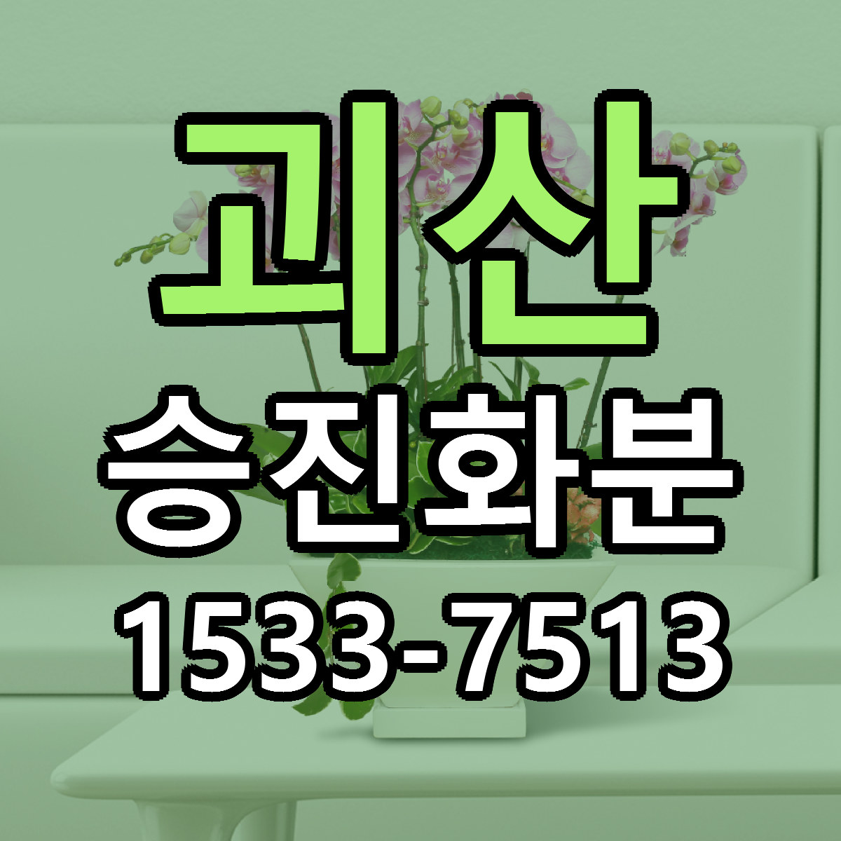 괴산 승진화분 빠른배송 가격 저렴한곳 찾기