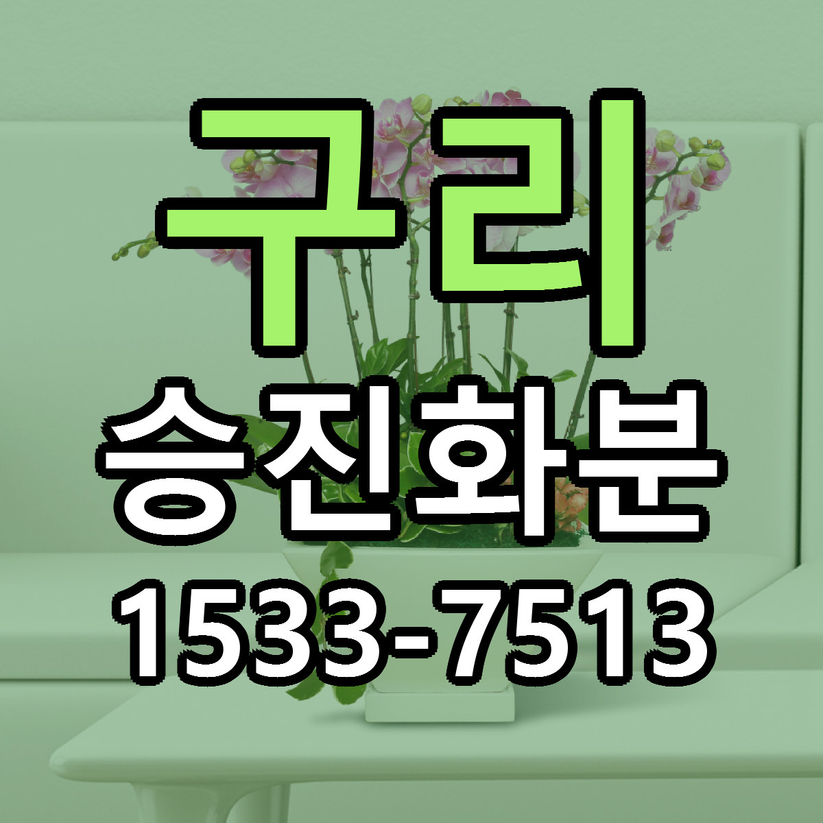 구리 승진화분 빠른배송 가격 저렴한곳 찾기