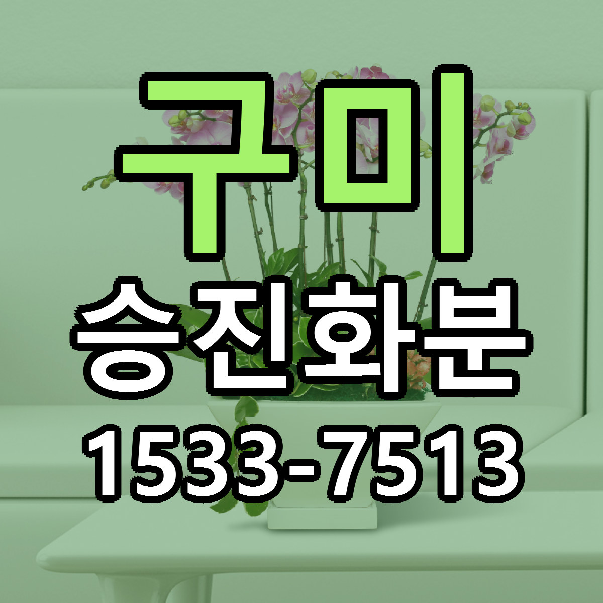 구미 승진화분 빠른배송 저렴한곳 가격 정리