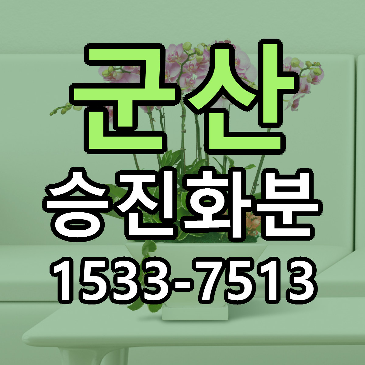 군산 승진화분 빠른배송 가격 저렴한곳 찾기