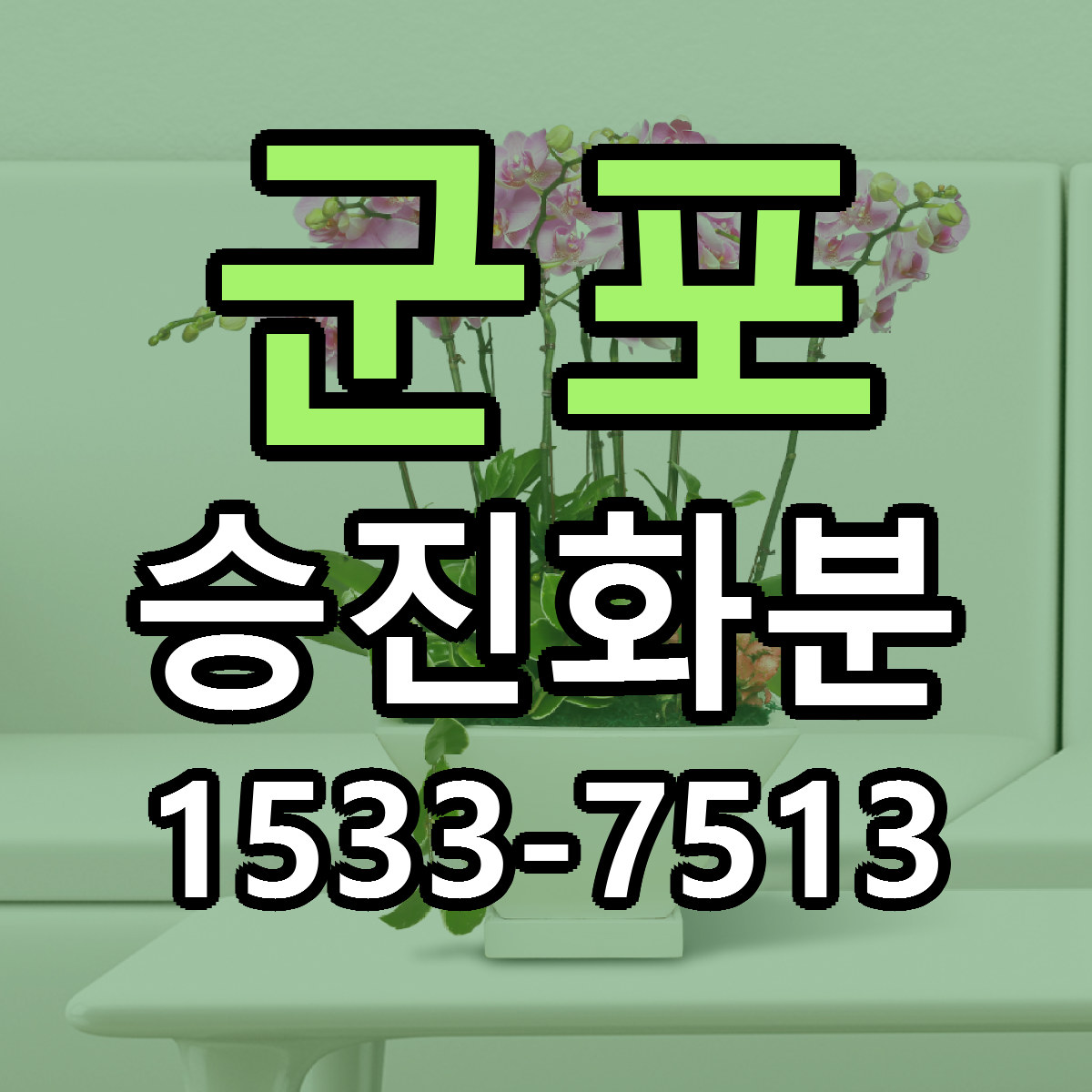 군포 승진화분 빠른배송 저렴한곳 가격 정리
