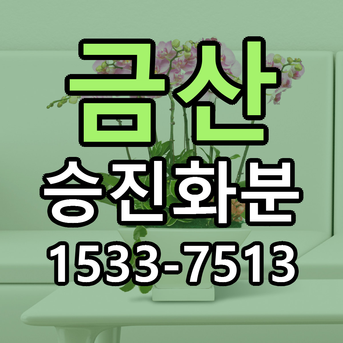 금산 승진화분 근처꽃집 빠른배송 가격 문의