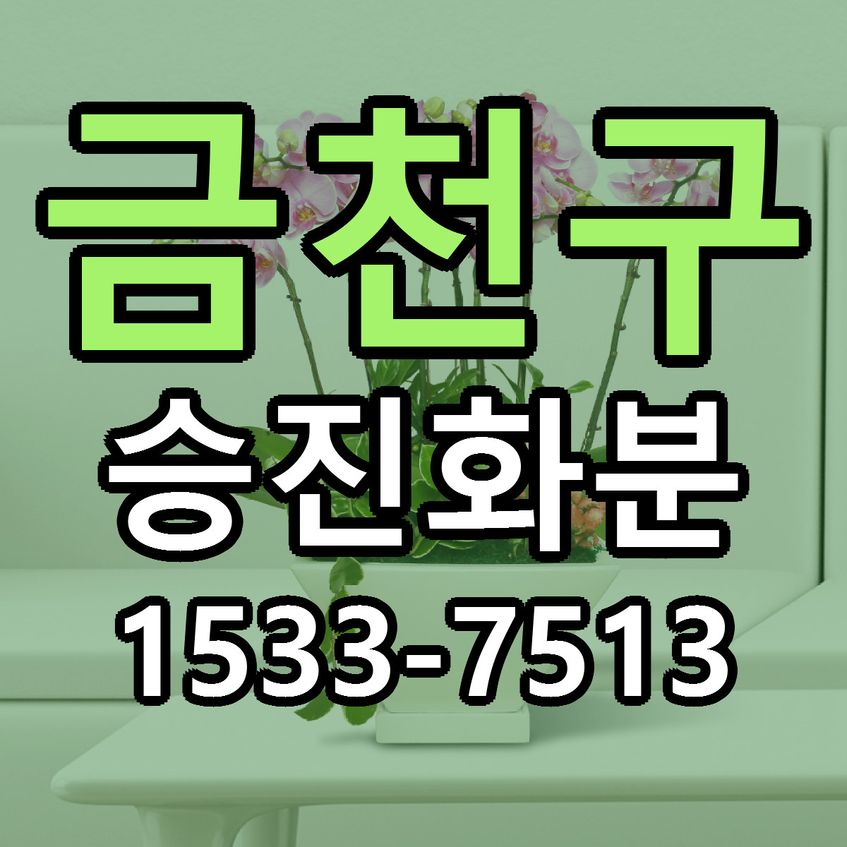 금천구 승진화분 근처꽃집 빠른배송 가격 문의