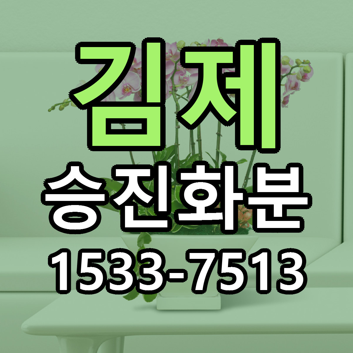 김제 승진화분 근처꽃집 가격 저렴한곳 안내