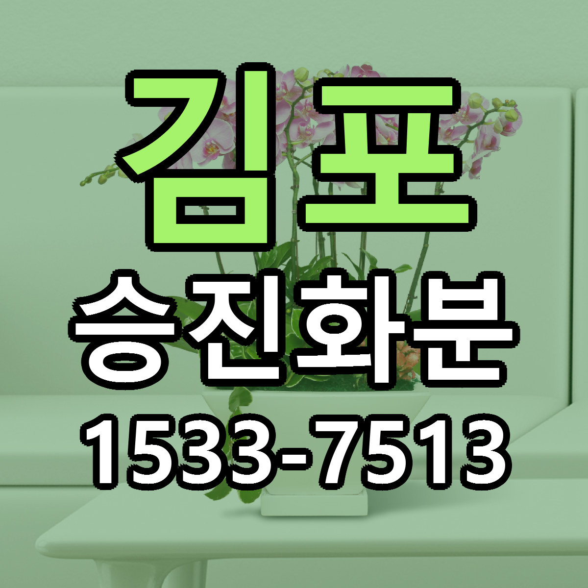 김포 승진화분 빠른배송 근처꽃집 가격 비교
