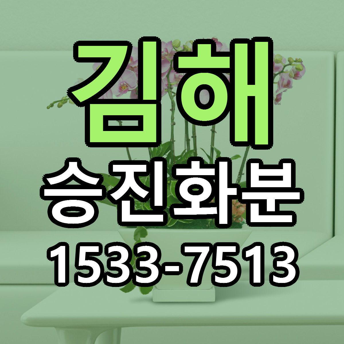 김해 승진화분 근처꽃집 빠른배송 가격 문의