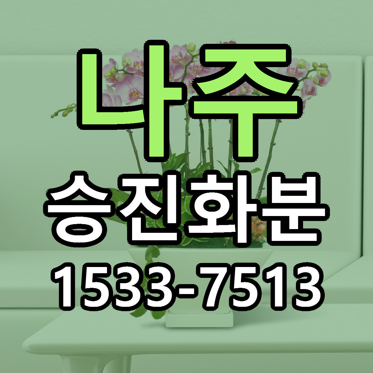 나주 승진화분 근처꽃집 빠른배송 가격 문의