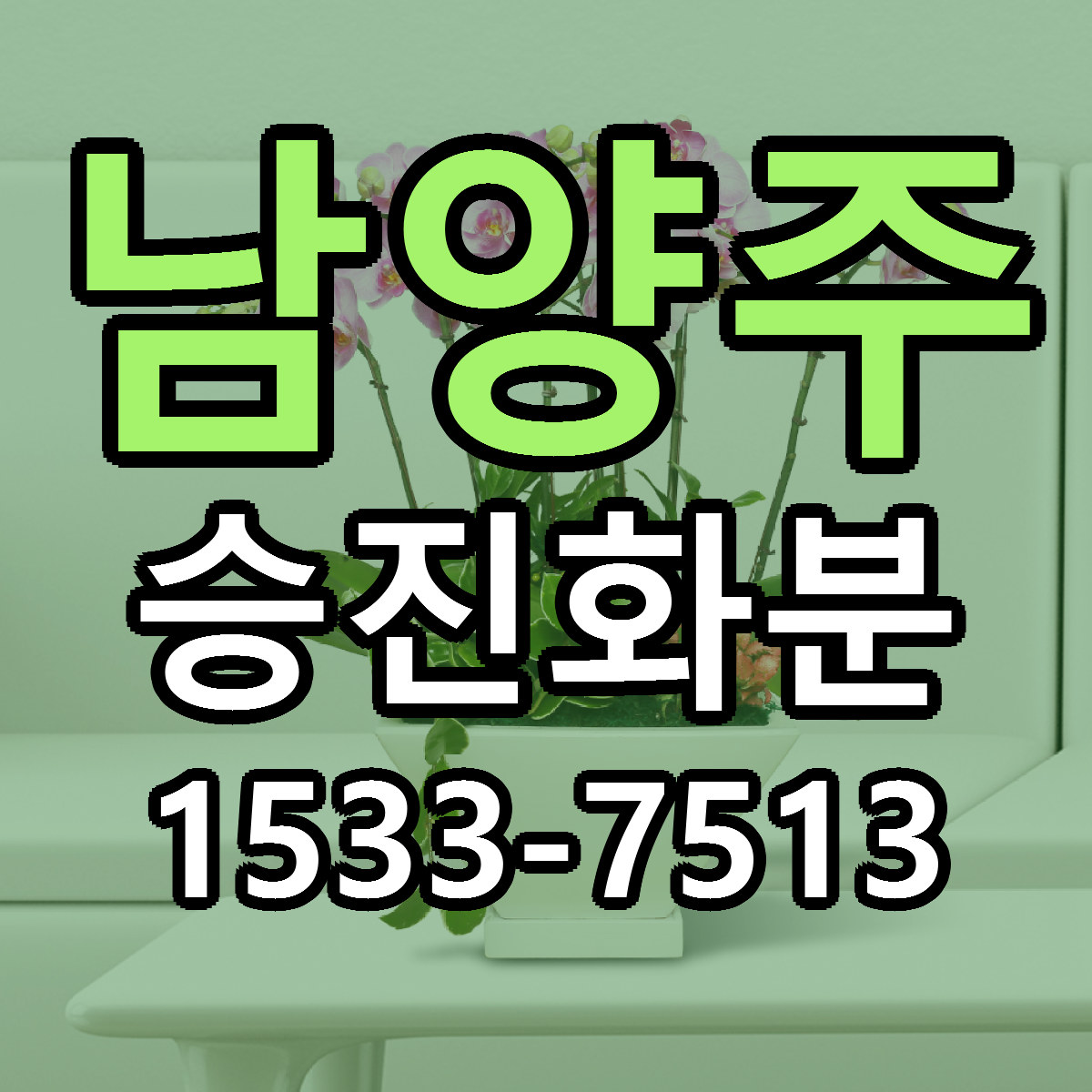남양주 승진화분 당일배송 가격 저렴한곳 추천