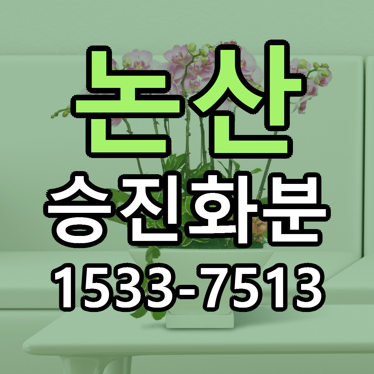 논산 승진화분 빠른배송 리본문구 근처꽃집 예약