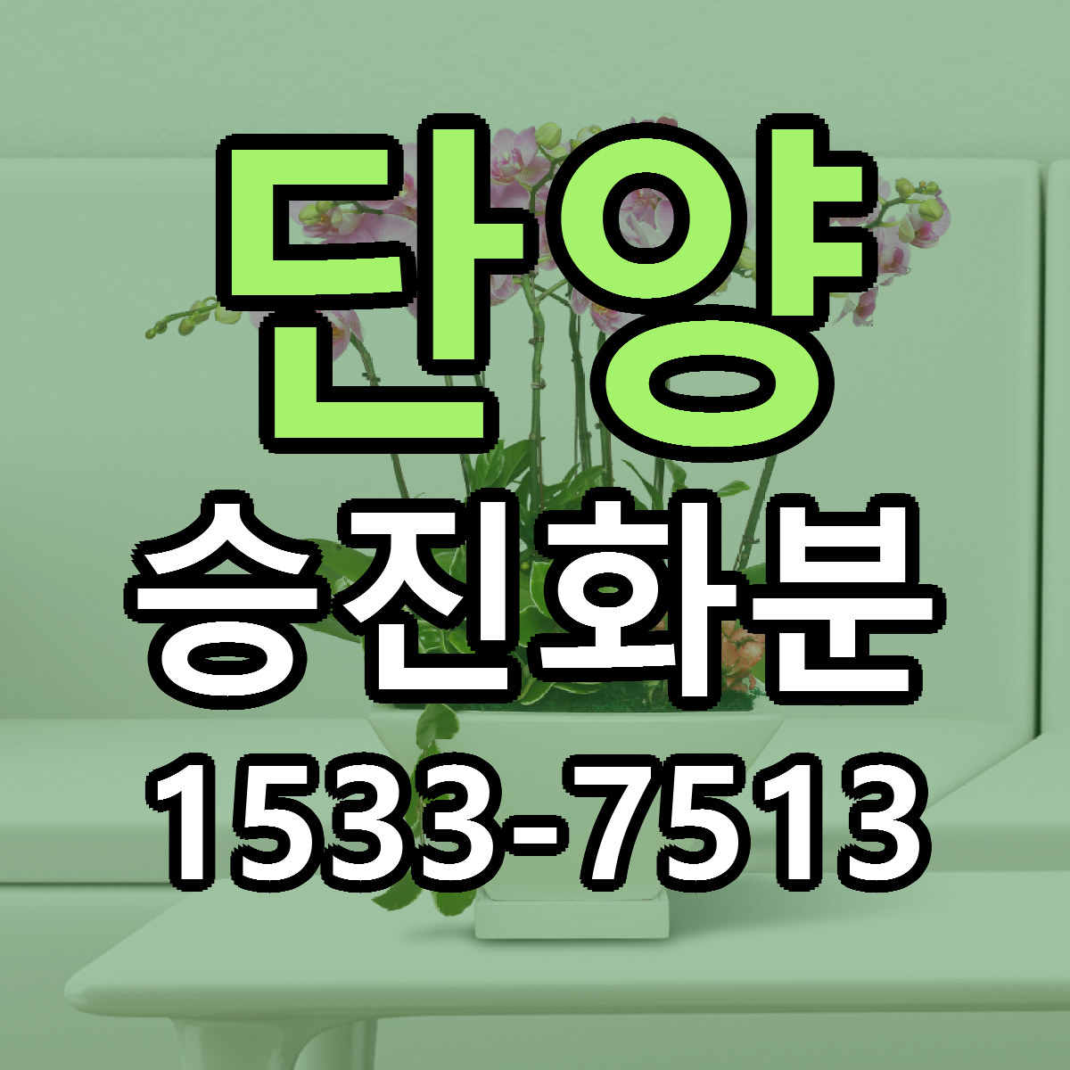 단양 승진화분 당일배송 근처꽃집 싼곳 비교