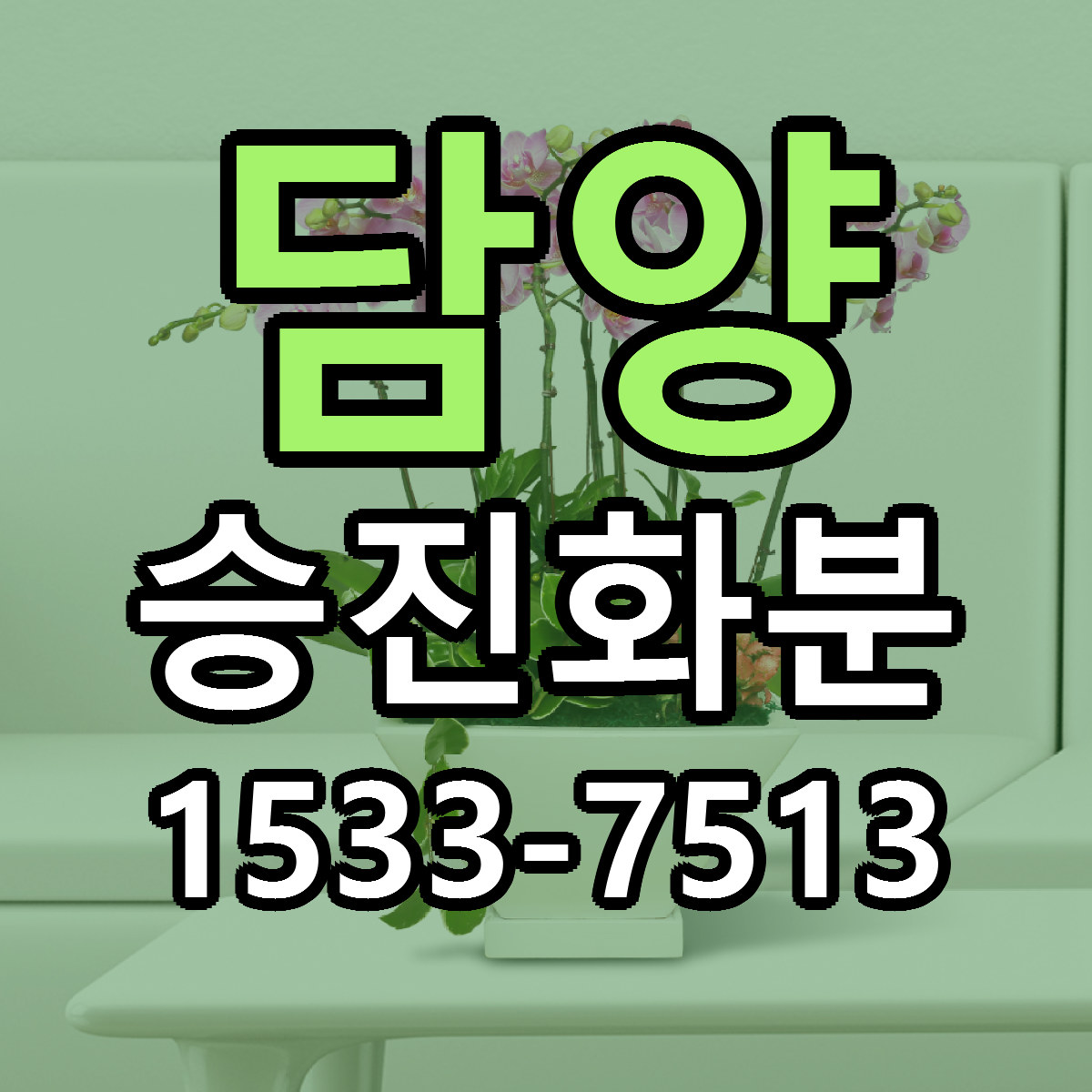 담양 승진화분 근처꽃집 당일배송 싼곳 추천