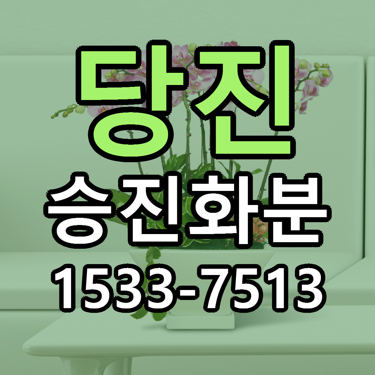 당진 승진화분 근처꽃집 당일배송 싼곳 추천