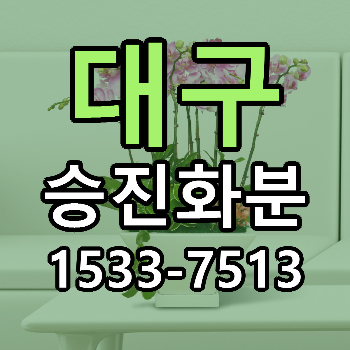 대구 승진화분 리본문구 근처꽃집 저렴한곳 예약