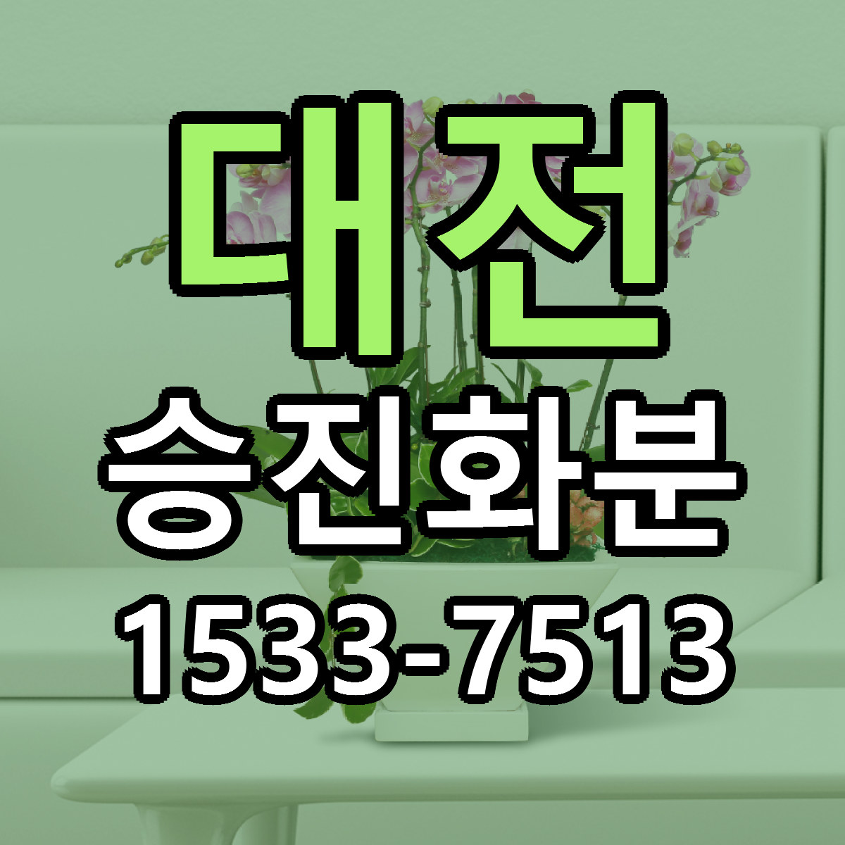 대전 승진화분 싼곳 빠른배송 리본문구 무료
