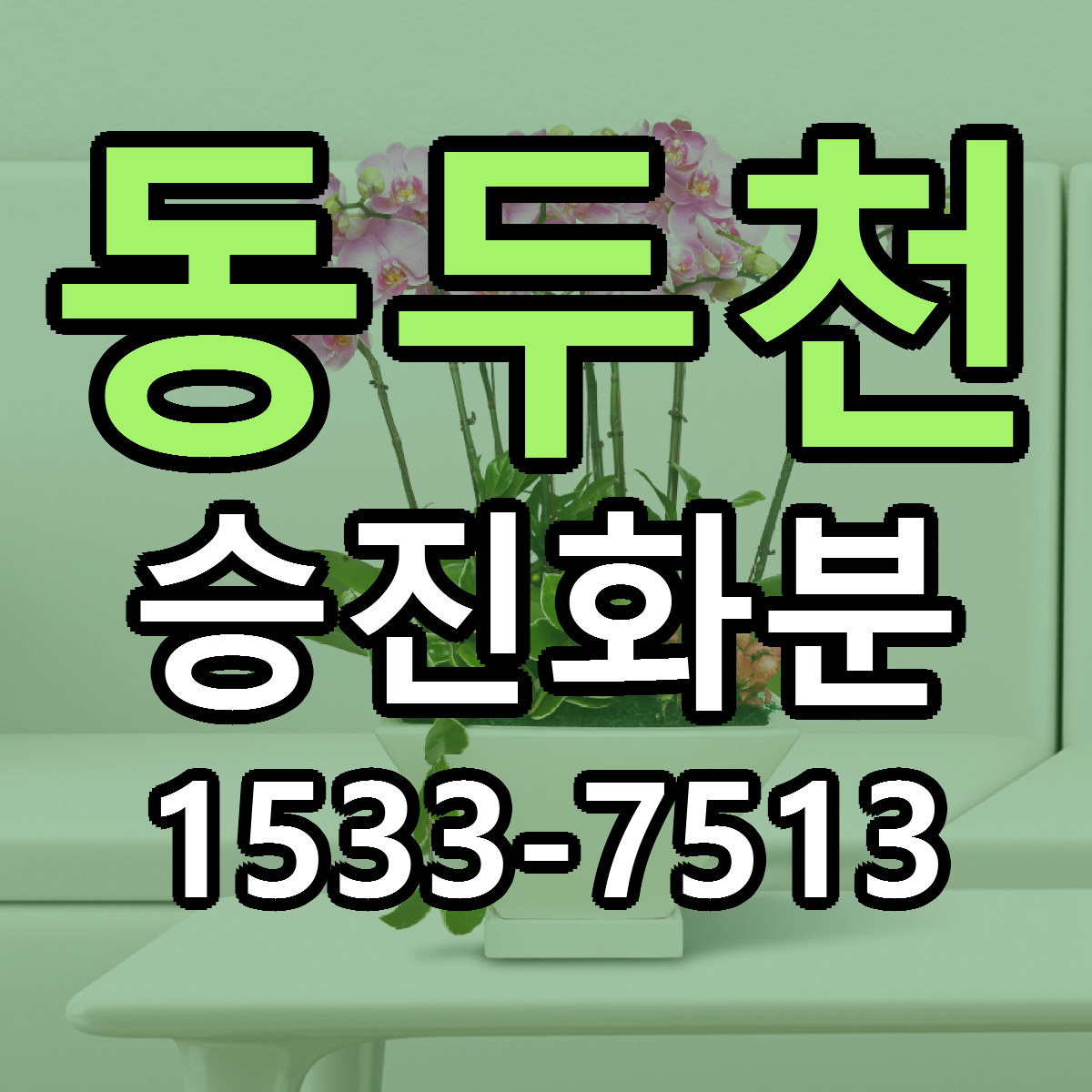 동두천 승진화분 근처꽃집 당일배송 가격 안내