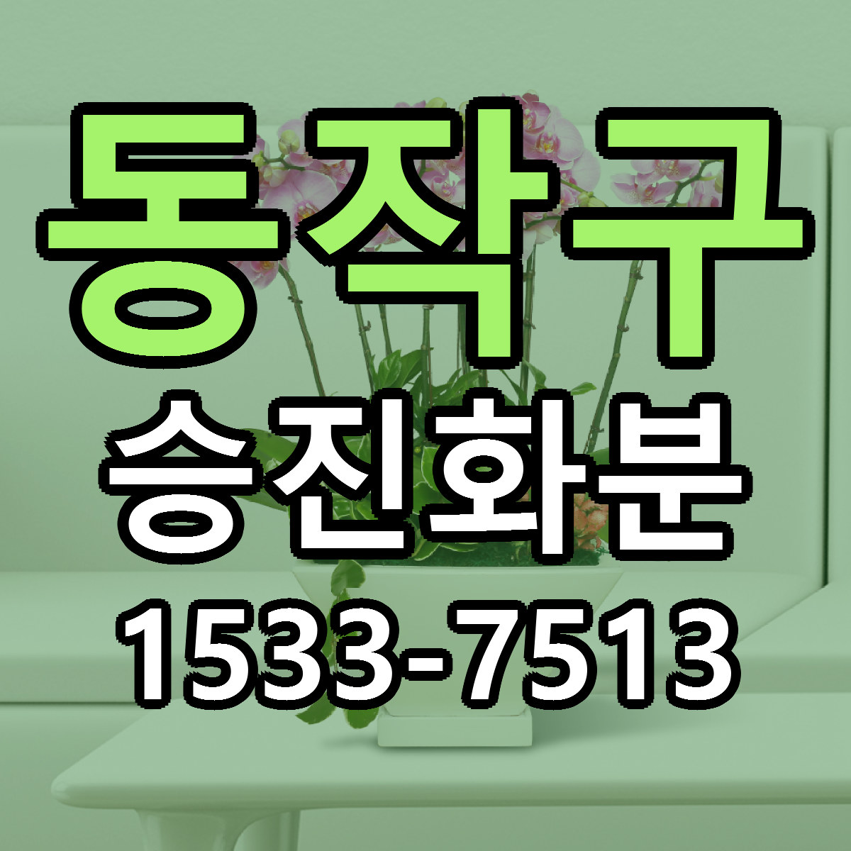 동작구 승진화분 싼곳 빠른배송 리본문구 무료