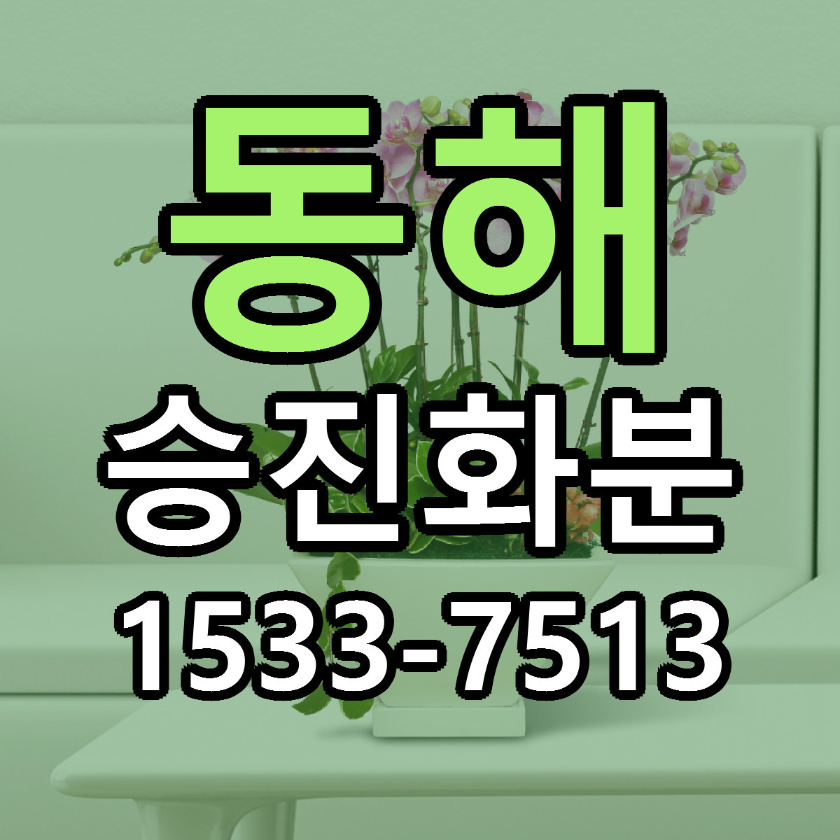 동해 승진화분 당일배송 근처꽃집 싼곳 비교