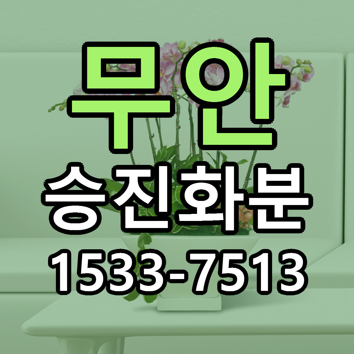 무안 승진화분 근처꽃집 저렴한곳 빠른배송 서비스