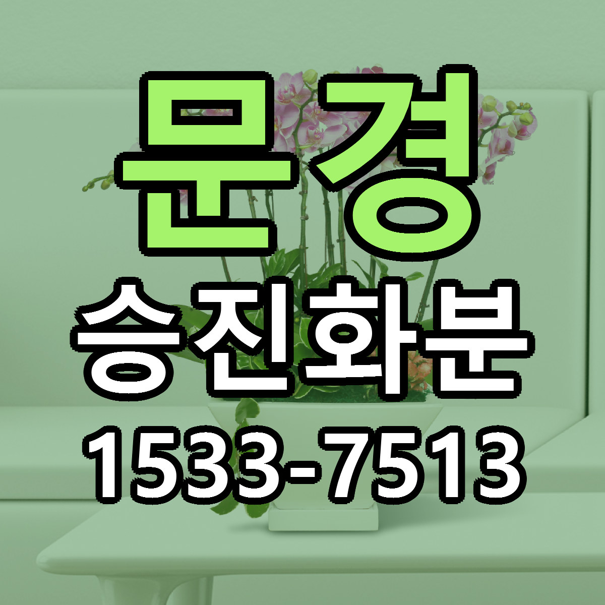 문경 승진화분 저렴한곳 당일배송 근처꽃집 추천