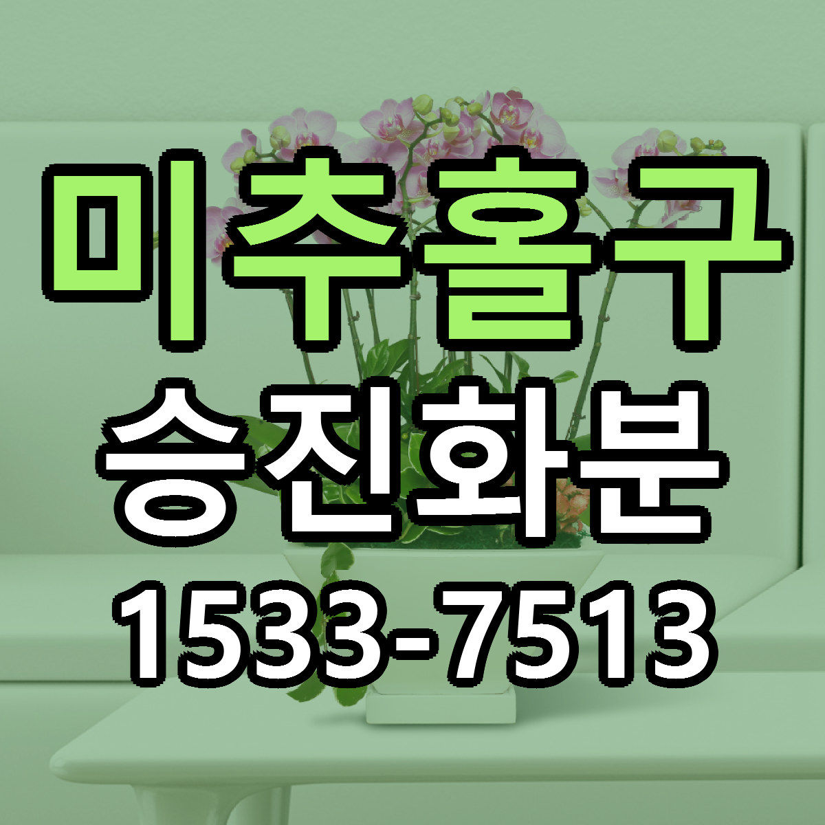 미추홀구 승진화분 빠른배송 근처꽃집 가격 비교
