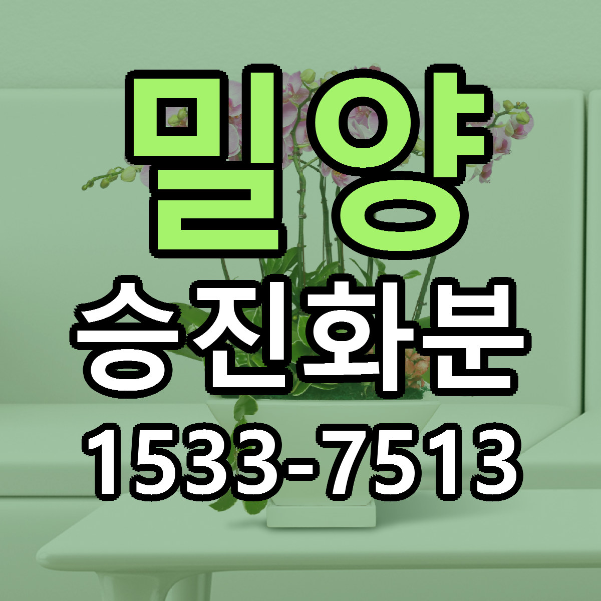 밀양 승진화분 근처꽃집 당일배송 가격 안내