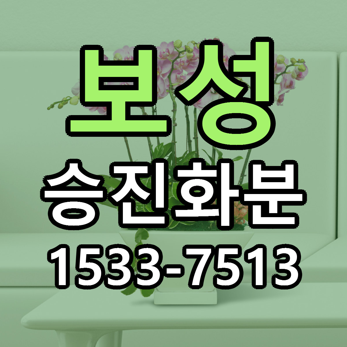 보성 승진화분 당일배송 빠른배송 싼곳 찾기