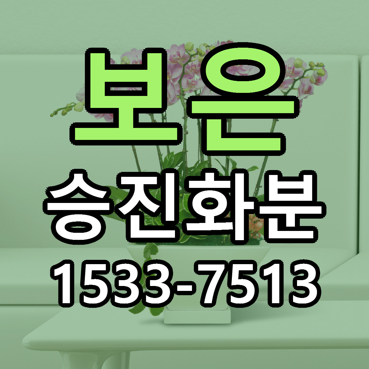 보은 승진화분 빠른배송 가격 저렴한곳 찾기