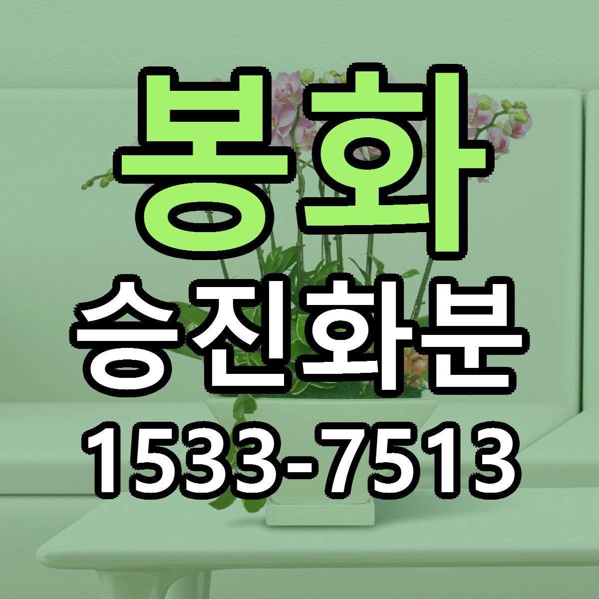 봉화 승진화분 싼곳 당일배송 리본문구 작성