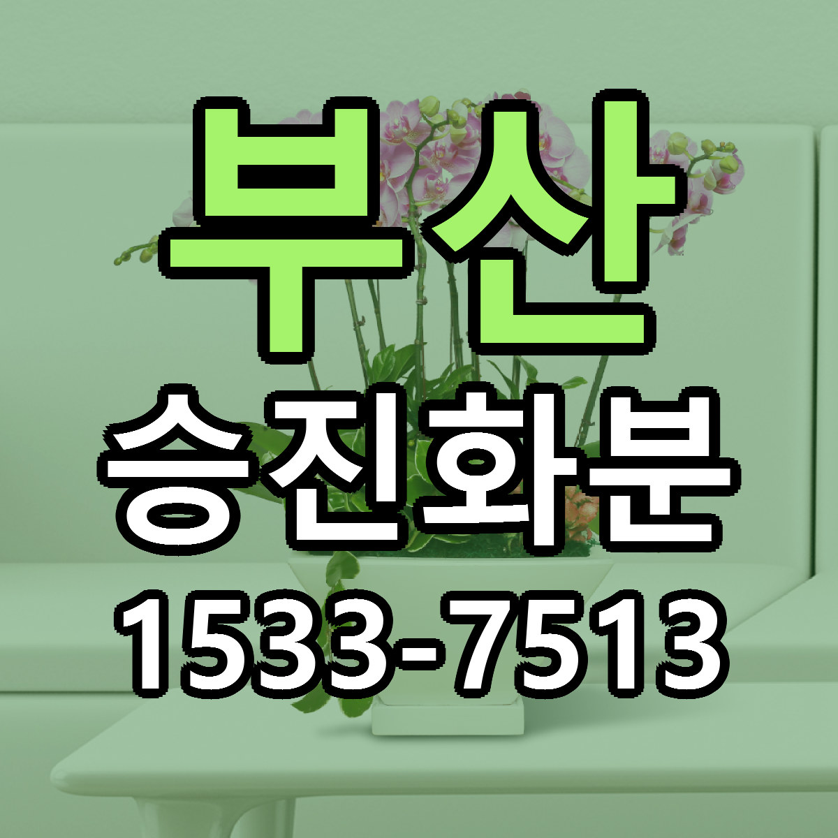 부산 승진화분 빠른배송 싼곳 가격 문의