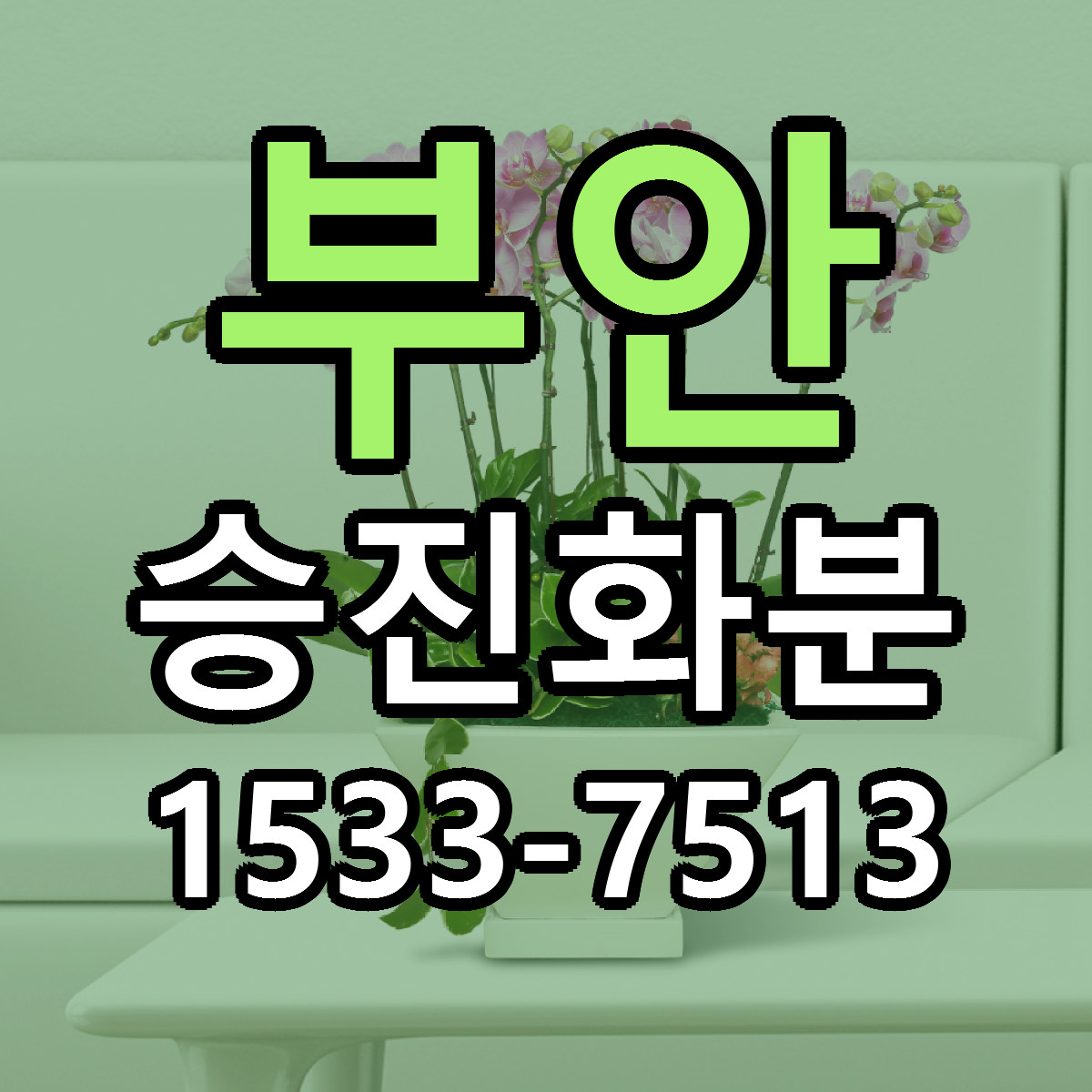 부안 승진화분 가격 만족 저렴한곳 리본문구 작성
