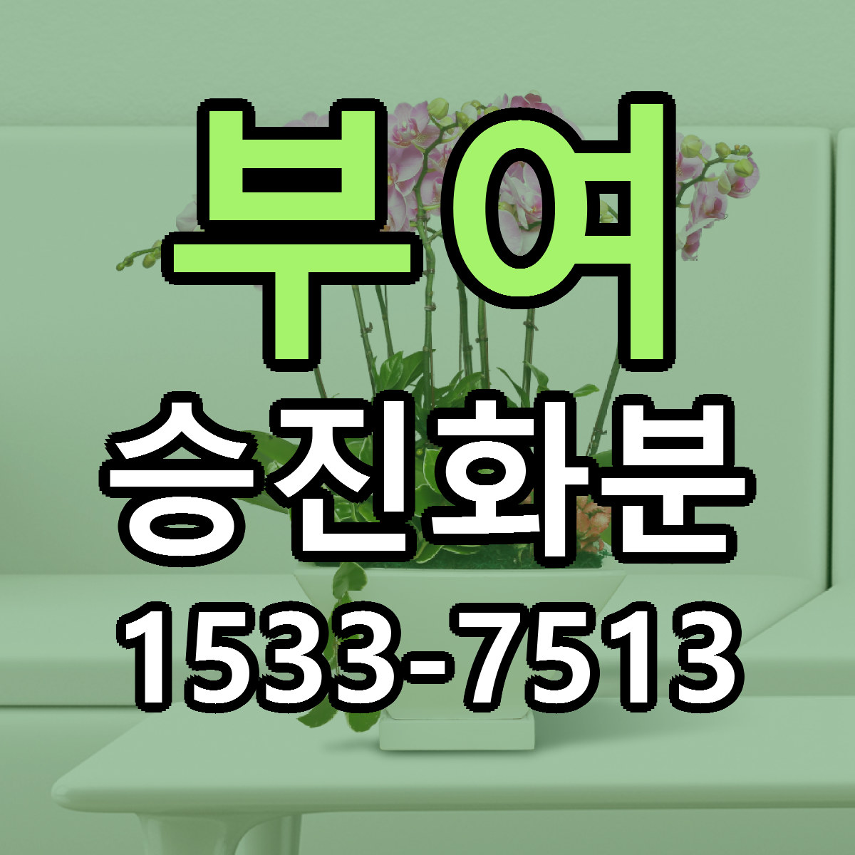 부여 승진화분 빠른배송 리본문구 근처꽃집 예약