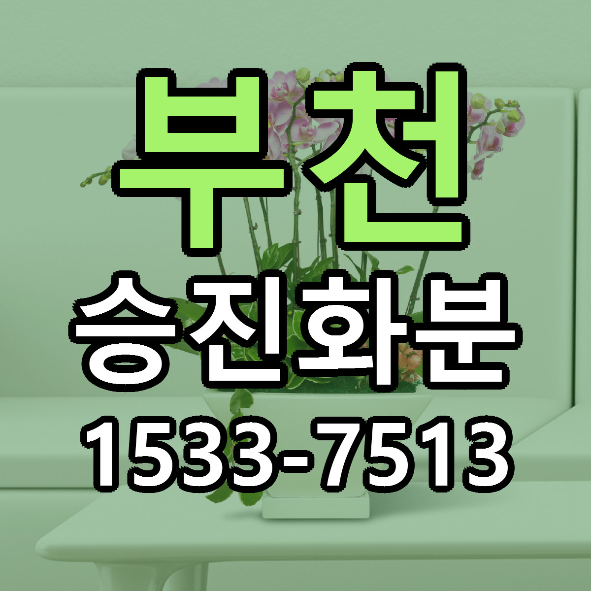 부천 승진화분 근처꽃집 저렴한곳 빠른배송 서비스