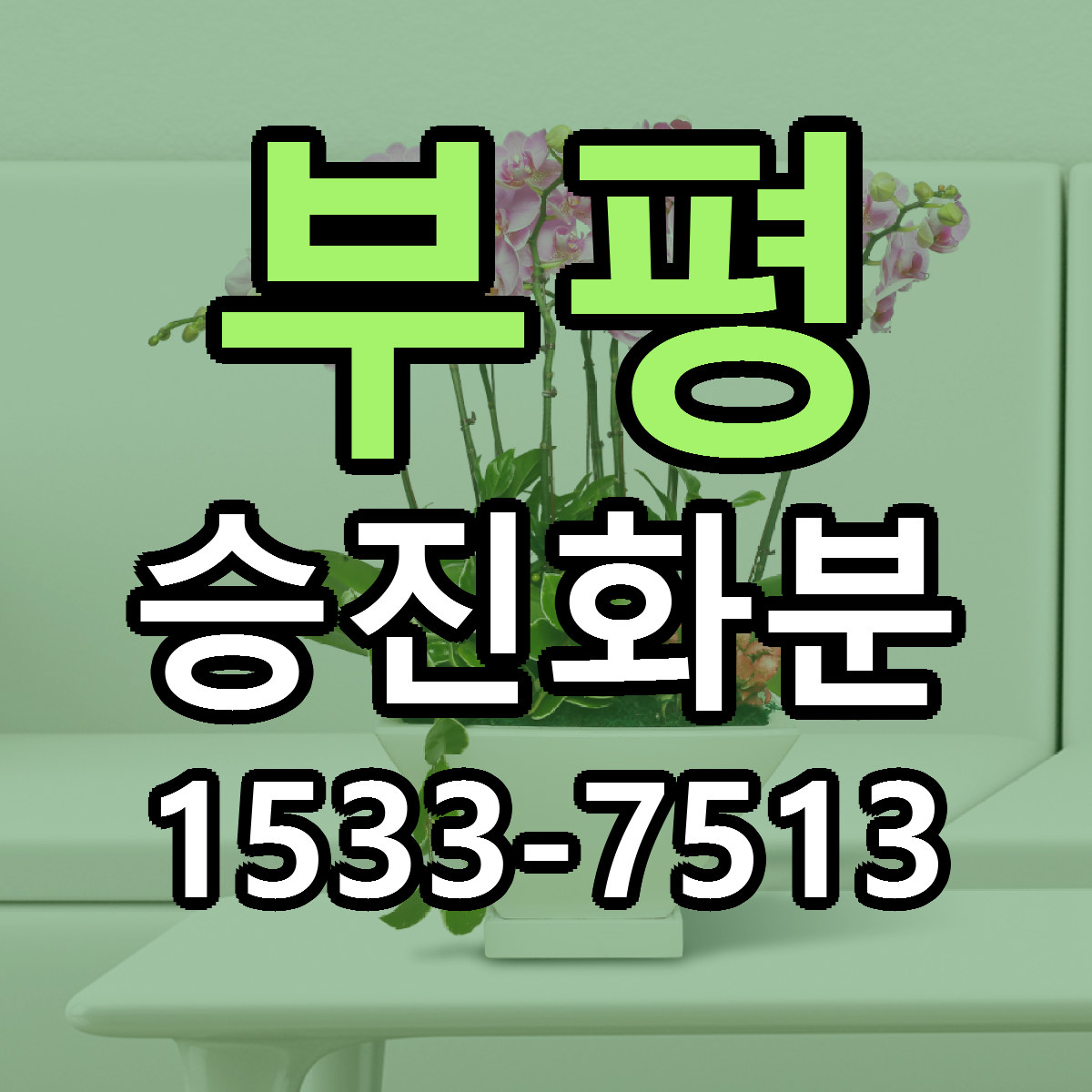 부평 승진화분 당일배송 리본문구 싼곳 찾기
