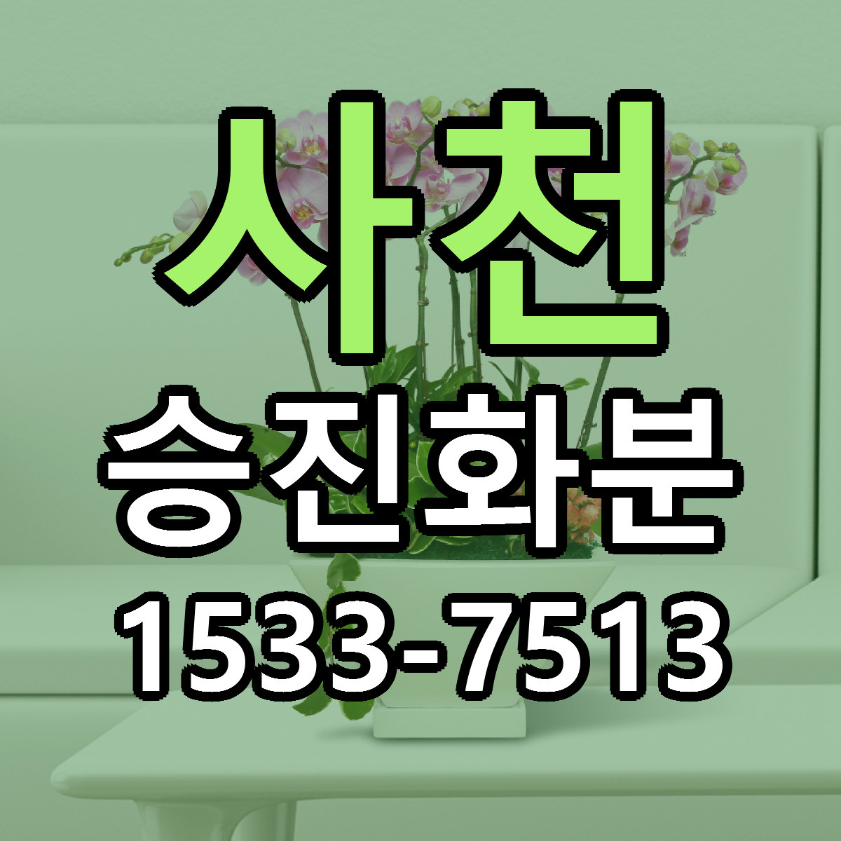 사천 승진화분 근처꽃집 싼곳 빠른배송 안내