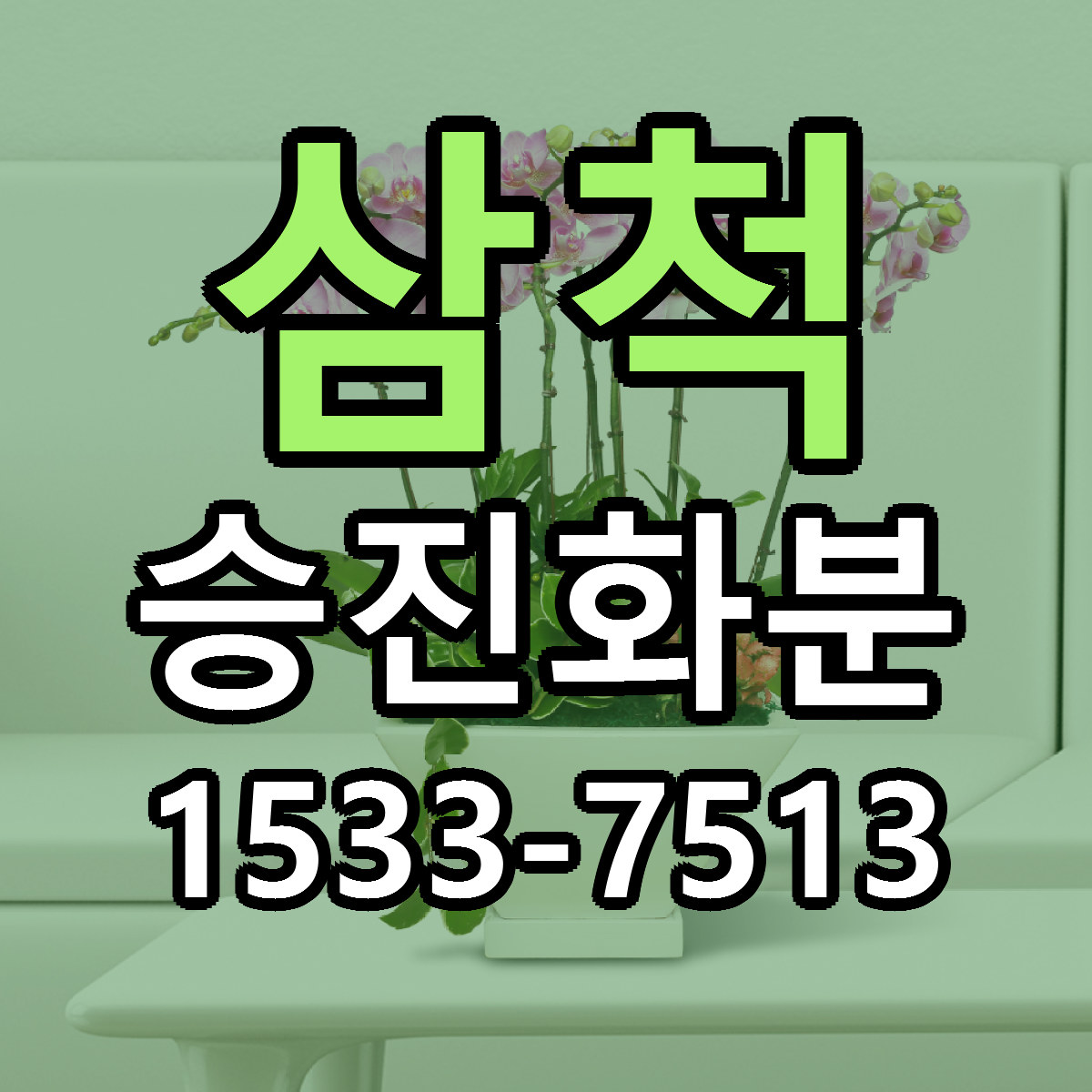 삼척 승진화분 당일배송 리본문구 빠른배송 서비스