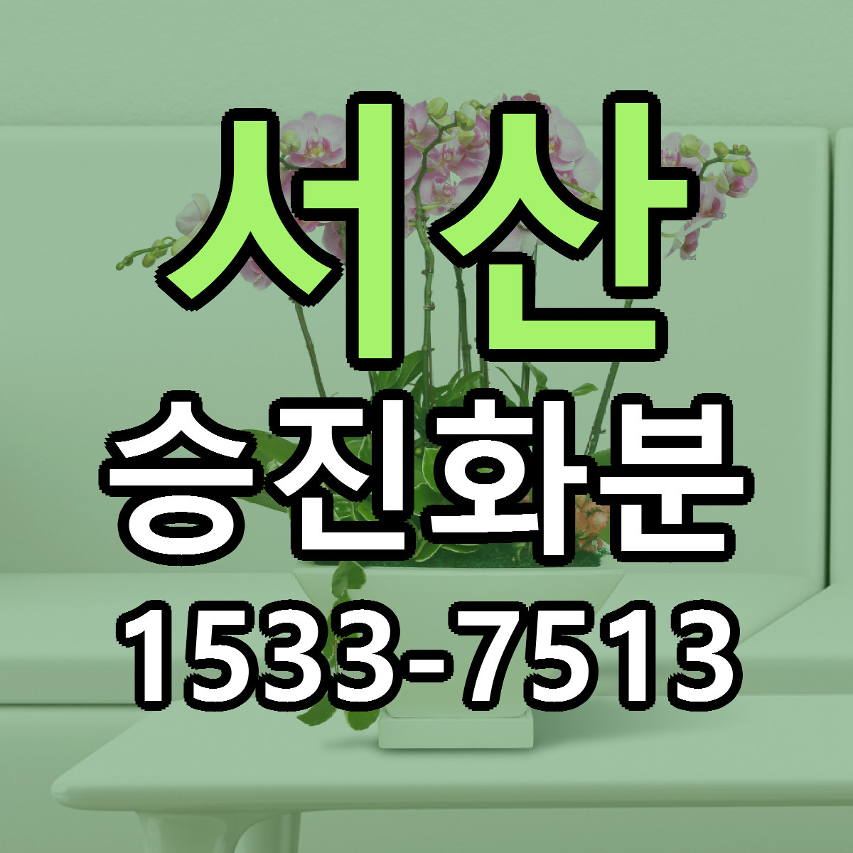 서산 승진화분 근처꽃집 싼곳 빠른배송 안내