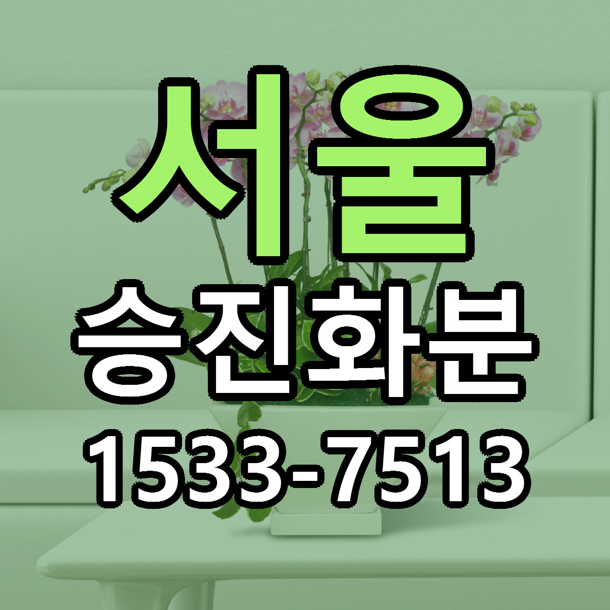 서울 승진화분 근처꽃집 가격 저렴한곳 안내