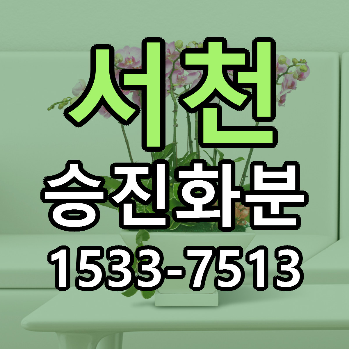 서천 승진화분 리본문구 서비스 저렴한곳 빠른배송